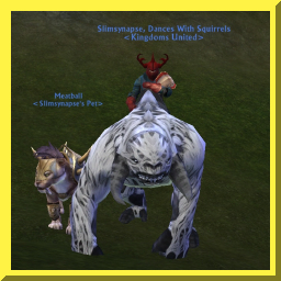 slimpets03.jpg