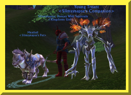 slimpets18.jpg